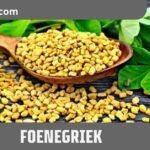 Foenegriek