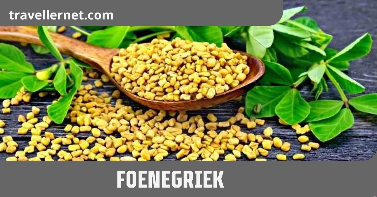 Foenegriek